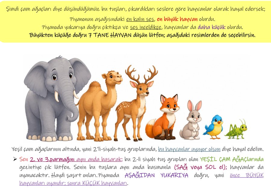 Kalın ses büyük hayvan, ince ses küçük hayvan